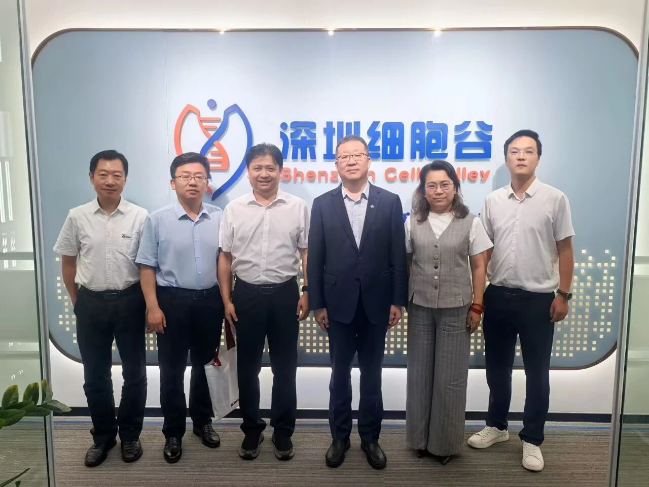 中国医药董事长杨光一行到访深圳2026年世界杯赛程考察研讨
